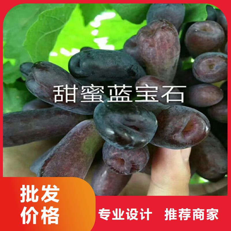 葡萄苗-【果树苗批发基地】适用场景_广祥农业科技(随州市分公司)