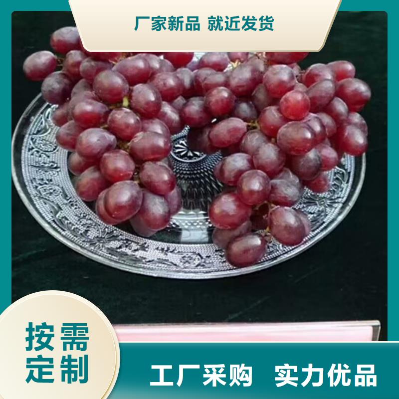 葡萄苗-【果树苗批发基地】适用场景_广祥农业科技(随州市分公司)