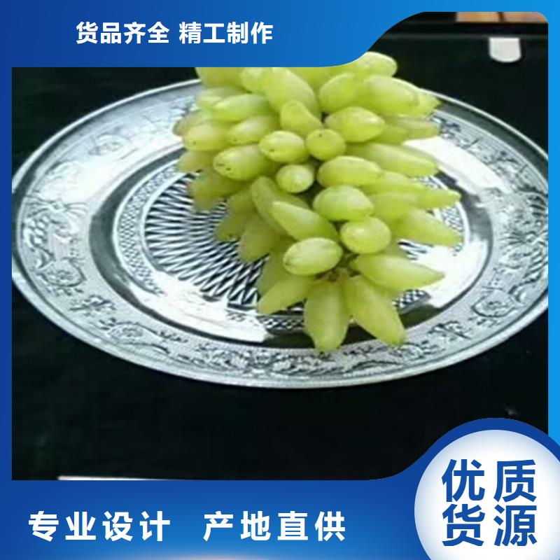 葡萄苗种植地区