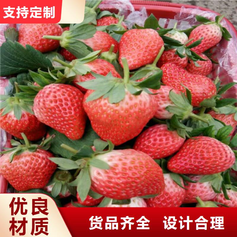 草莓苗苹果苗质量检测