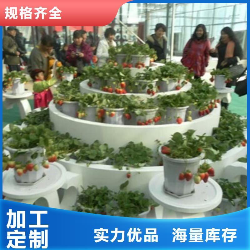 无花果树苗视频-乐平|珠山|南昌|抚州|新余|萍乡广祥无花果树苗_ 广祥农业科技(景德镇市分公司)