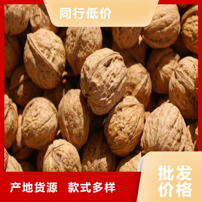 核桃苗软籽石榴树苗出厂价