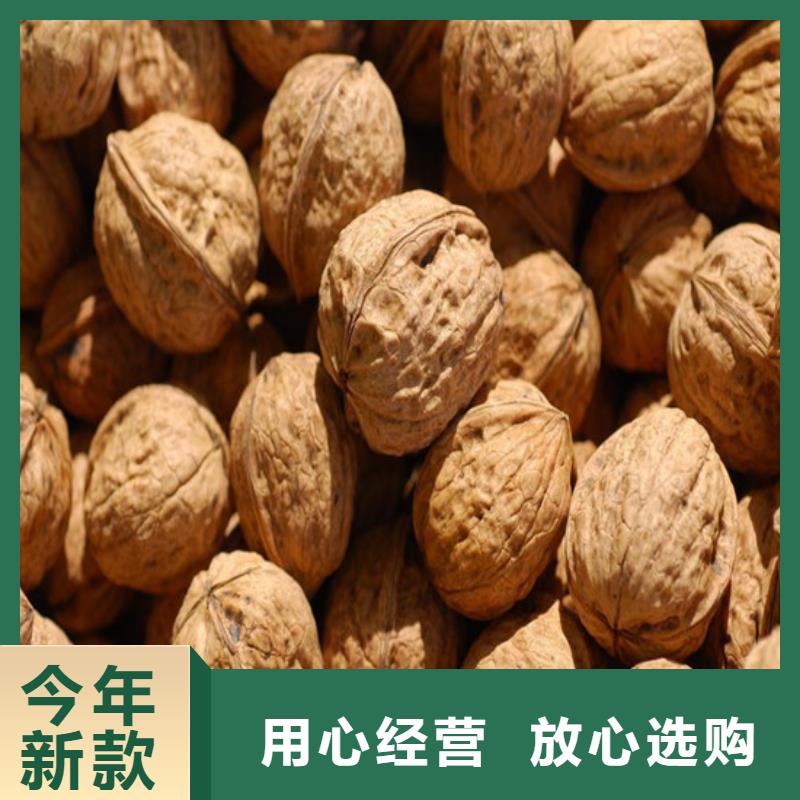 核桃苗,火箭大樱桃树苗厂家自营