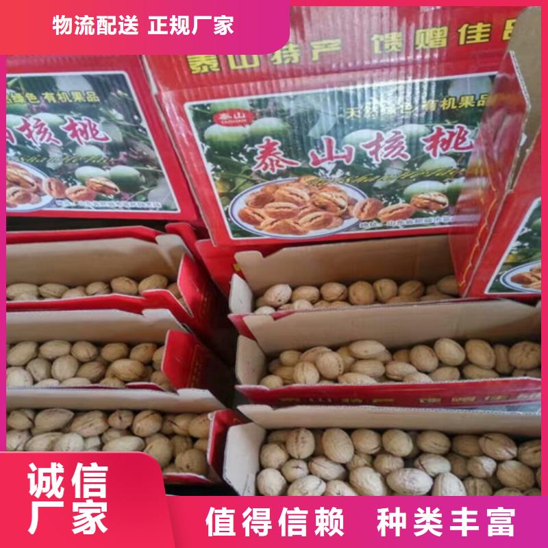 核桃苗-大红袍花椒苗好品质用的放心