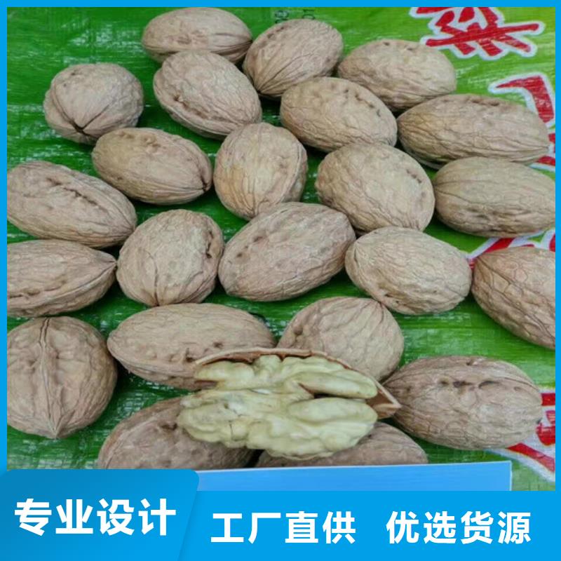 核桃苗,火箭大樱桃树苗厂家自营