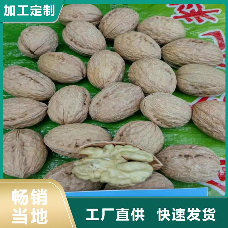 核桃苗柱状梨树苗定制销售售后为一体
