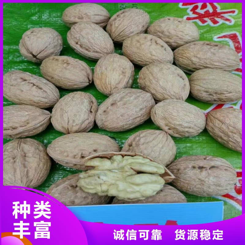 核桃苗果树苗批发基地生产安装