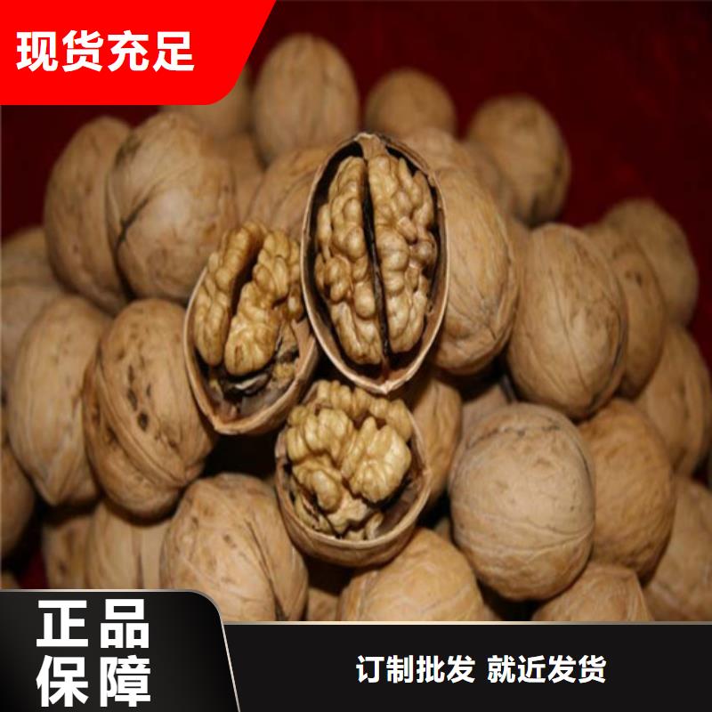 核桃苗樱桃苗买的放心