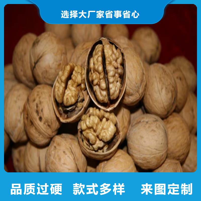 核桃苗草莓苗价格价格有优势