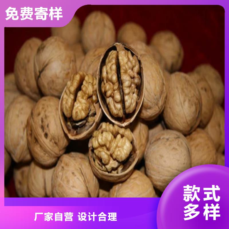 库存齐全厂家直供 核桃苗 【梨树苗基地】有实力有经验-【本地】供应商