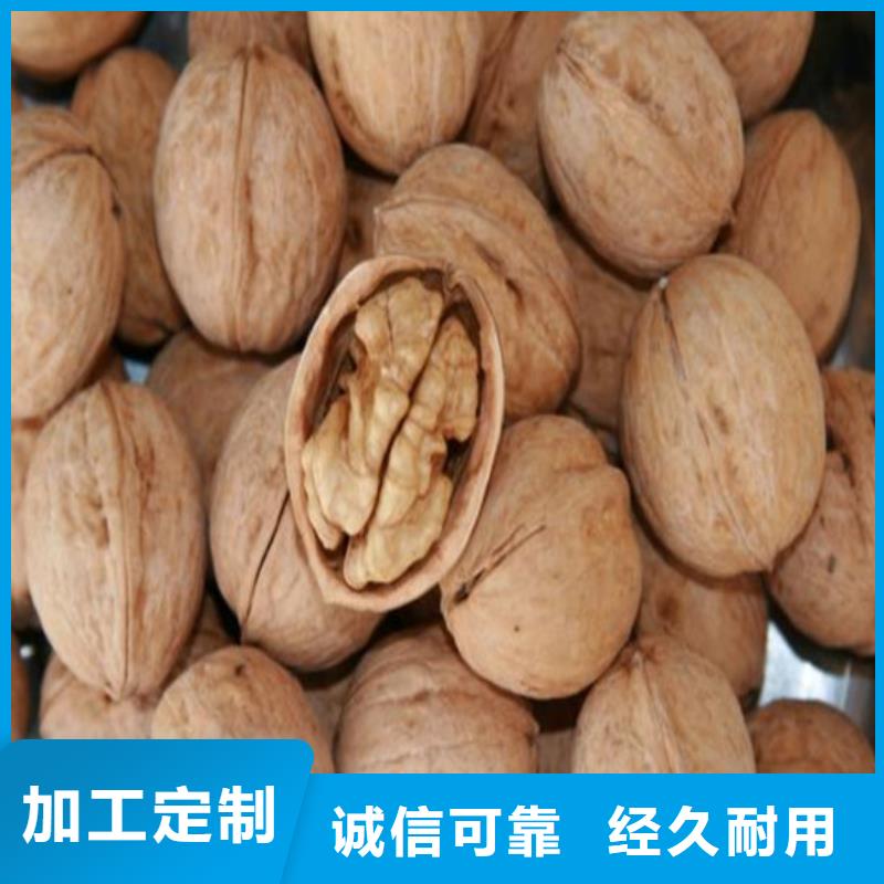 核桃苗 【果树苗批发基地】就近发货广祥无花果树苗