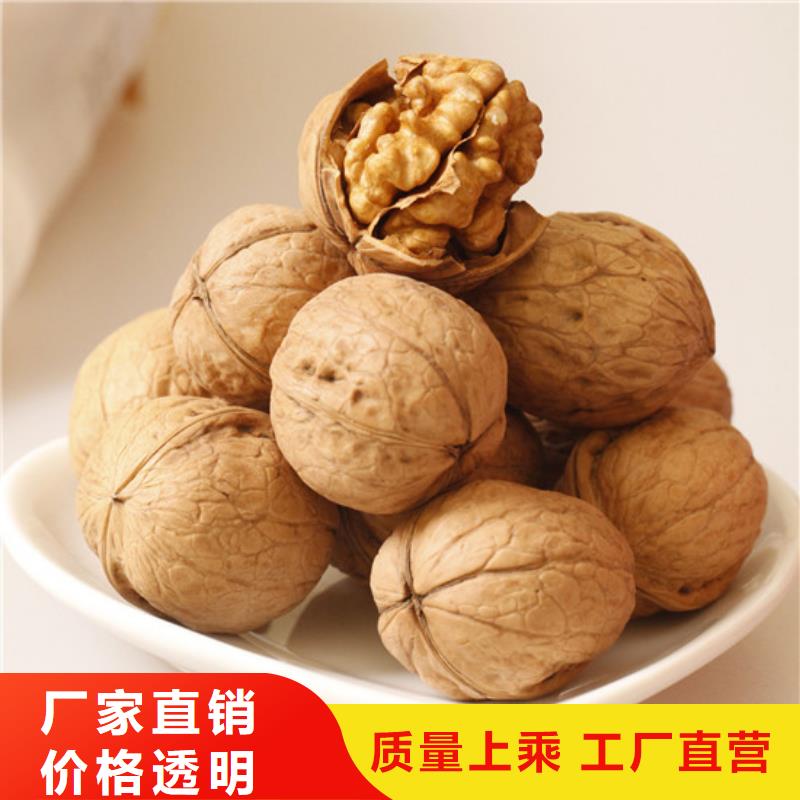 核桃苗 【果树苗批发基地】就近发货广祥无花果树苗