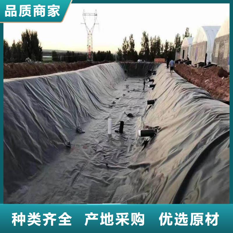 土工膜品质保障价格合理 鼎诺土工材料(商洛市分公司)