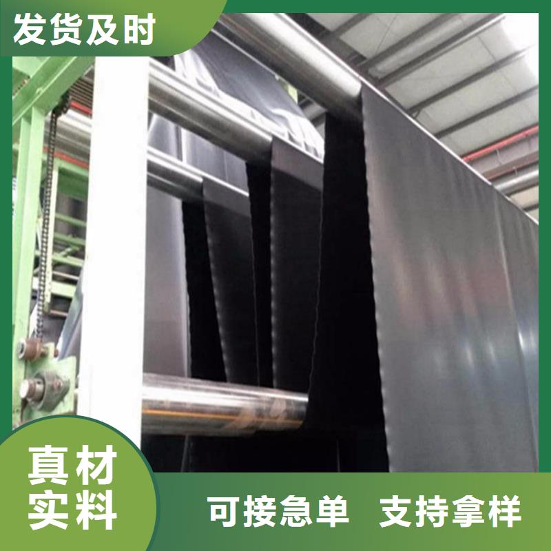 土工膜【防水毯】专业完善售后鼎诺植草格