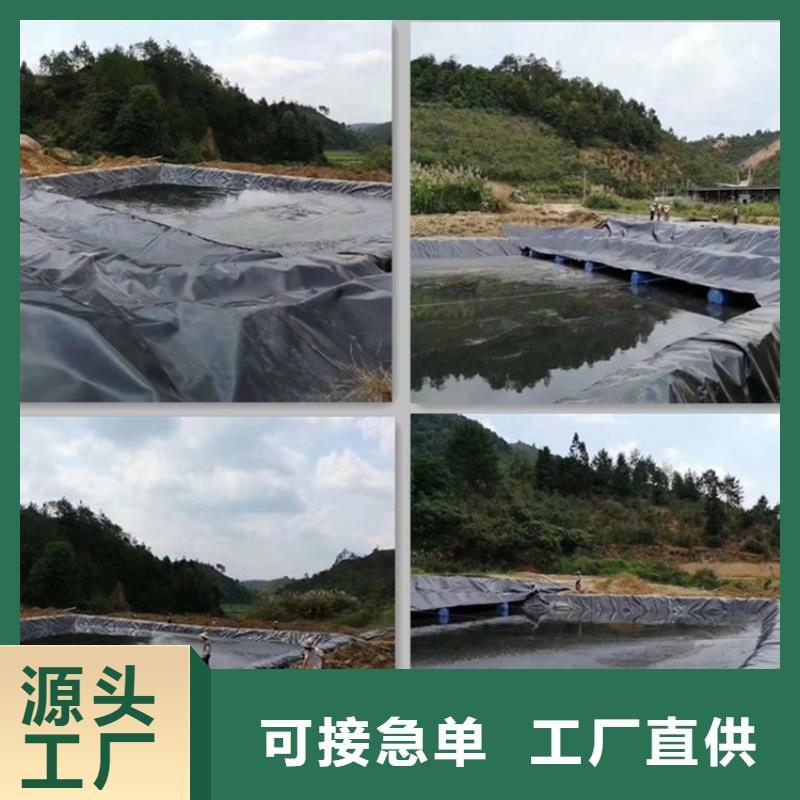 土工膜抗裂贴实力厂家直销