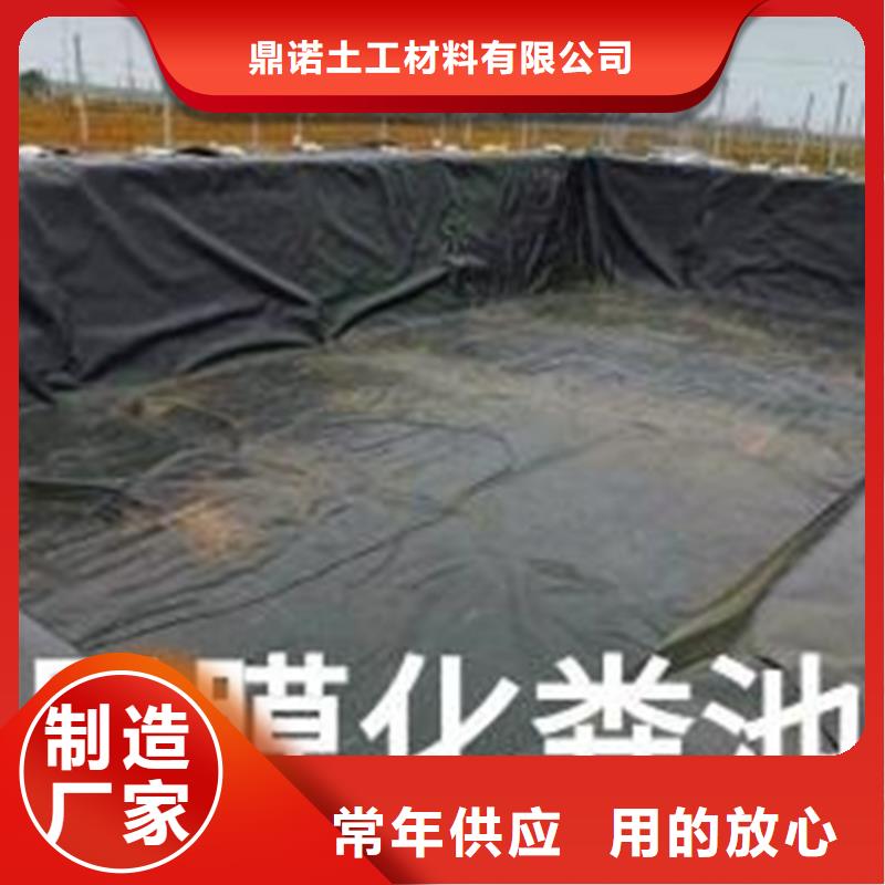 土工膜品质保障价格合理 鼎诺土工材料(商洛市分公司)