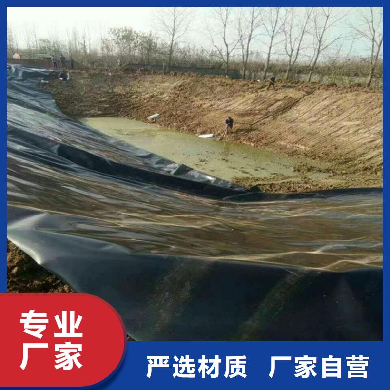 土工膜【防水板】价格合理