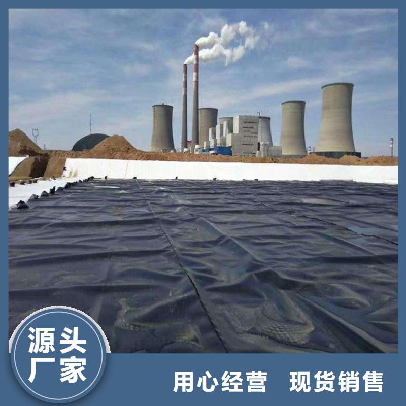 土工膜【防水毯】专业完善售后鼎诺植草格