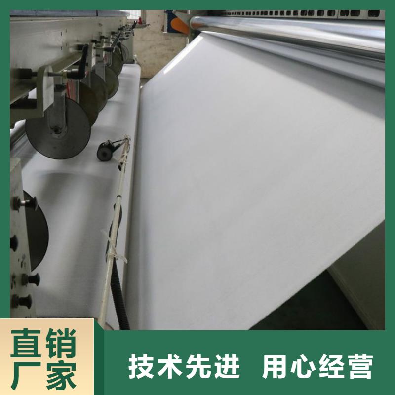 【土工布】防渗土工膜厂家货源稳定