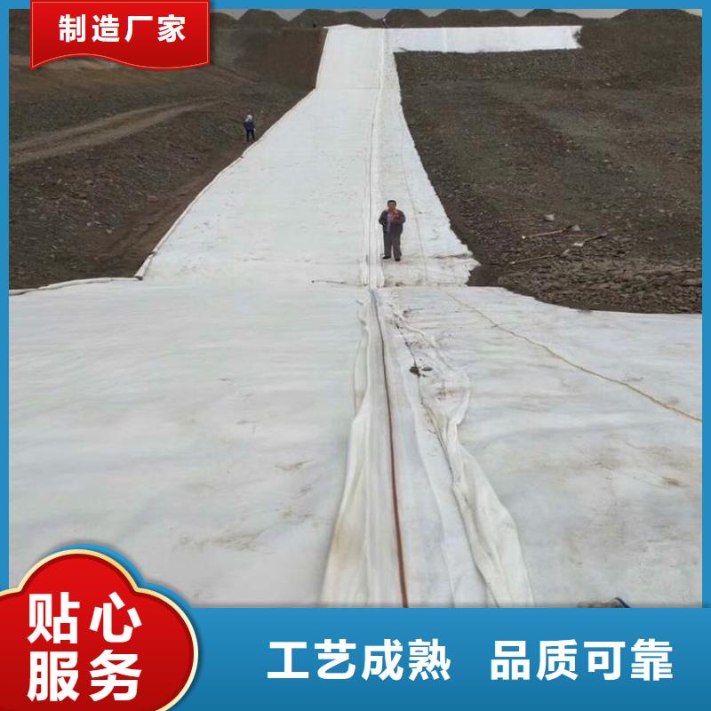 土工布专业生产设备