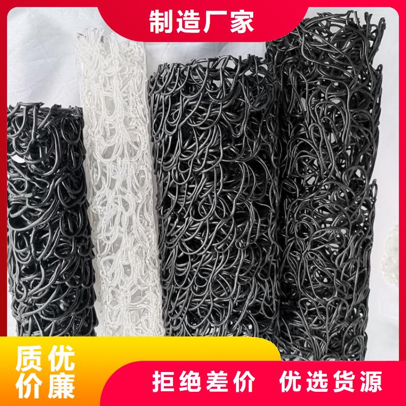 鼎诺植草格【塑料盲沟】 防渗膜用心服务28354.com
