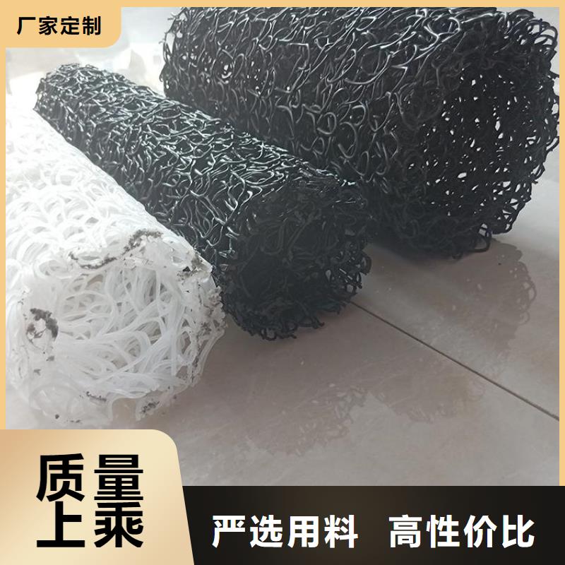 鼎诺植草格【塑料盲沟】 防渗膜用心服务28354.com