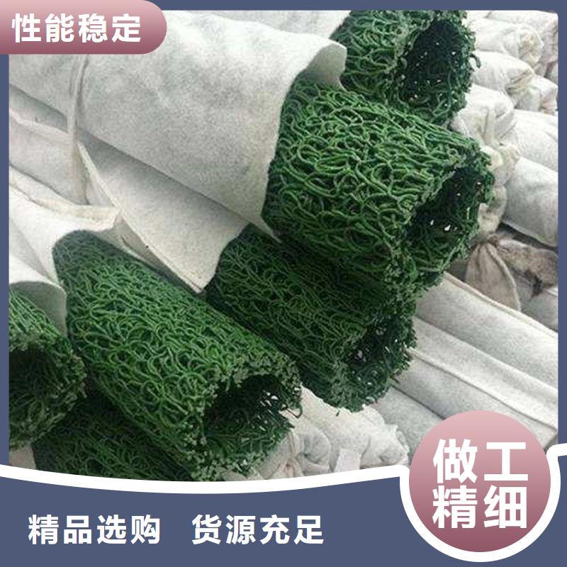 植草格鼎诺塑料盲沟_【HDPE土工膜】优质工艺