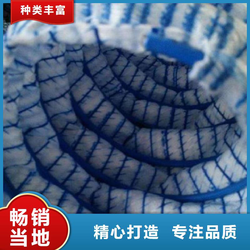 【软式透水管_植草格厂家直销放心】