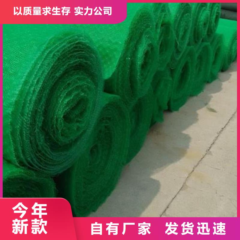三维植被网土工格栅优质材料厂家直销