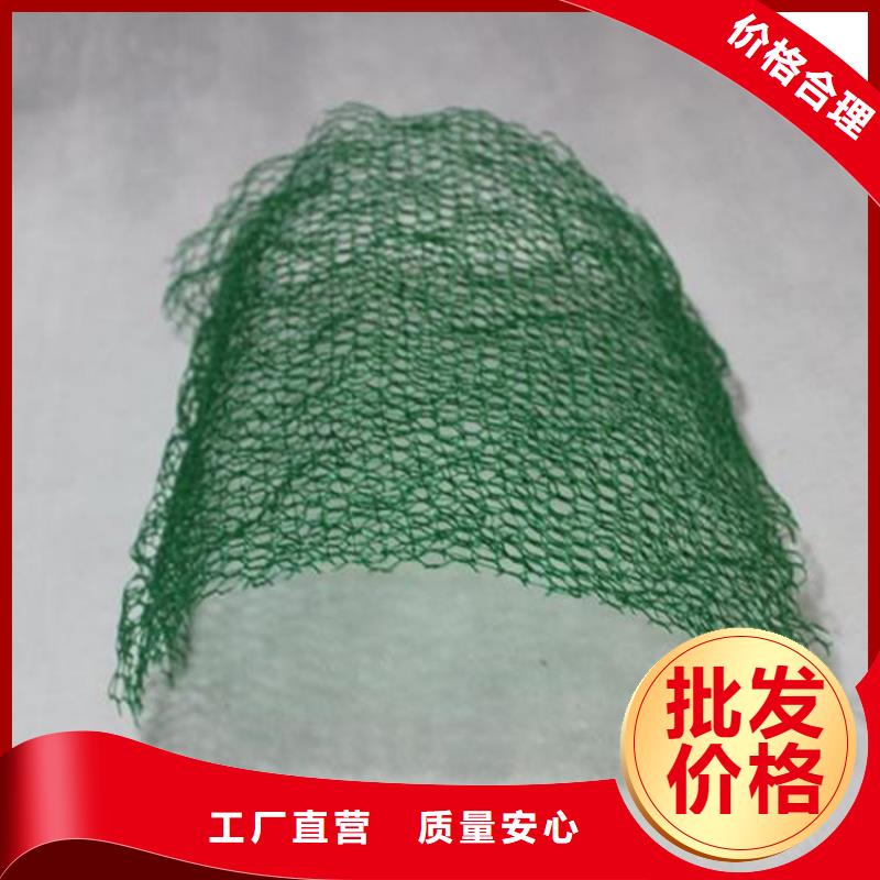 三维植被网植草格厂家售后完善