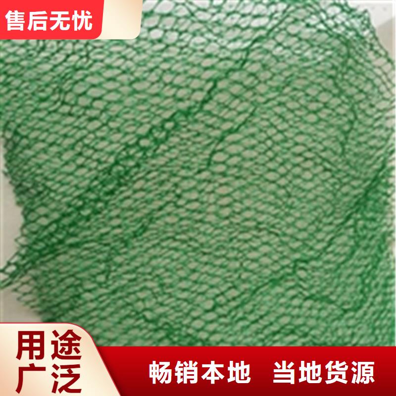 三维植被网植草格厂家售后完善