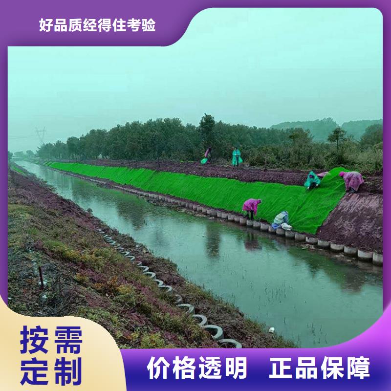 三维植被网土工席厂家直销值得选择