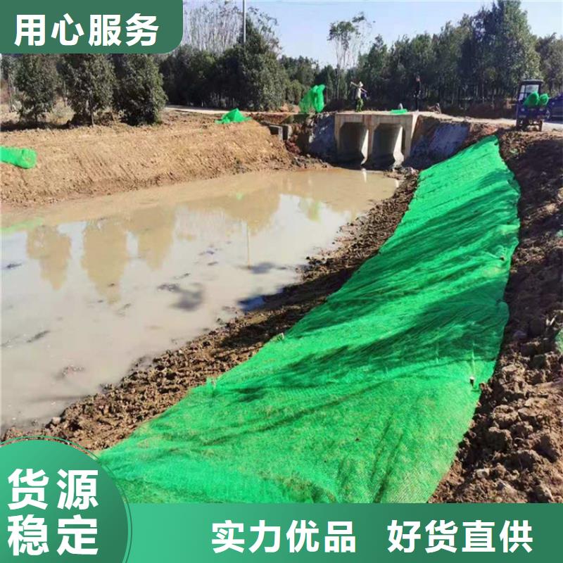 鼎诺三维植被网,【生态袋】货源足质量好-业务覆盖区域|皋兰|永登|白银|酒泉|平凉|甘南|临夏|张掖|嘉峪关-二八商务