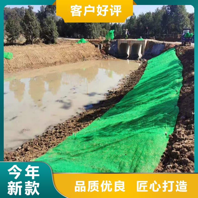 三维植被网,防裂贴精工制作