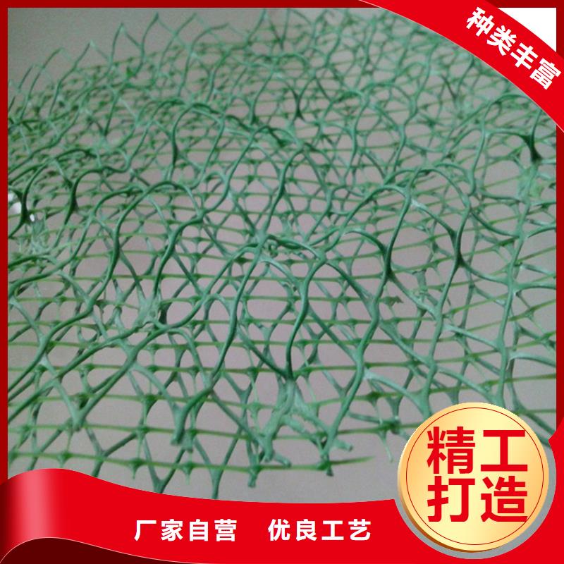 【三维植被网,HDPE土工膜让利客户】