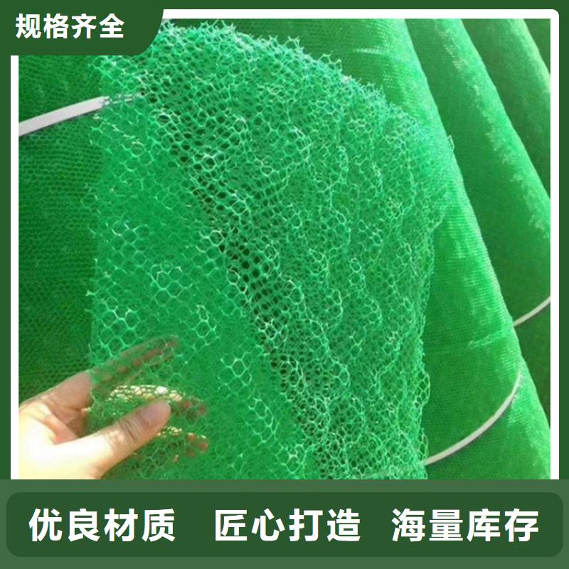 【三维植被网】-HDPE土工膜48小时发货由鼎诺为您