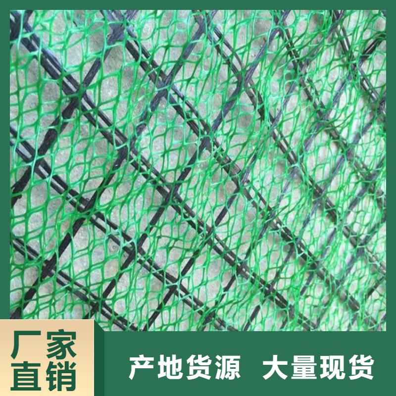 三维植被网【防水膜】专业信赖厂家
