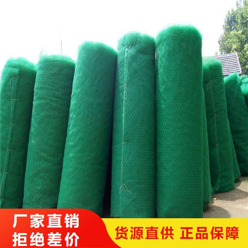 厂家三维植被网 【HDPE土工膜】符合行业标准