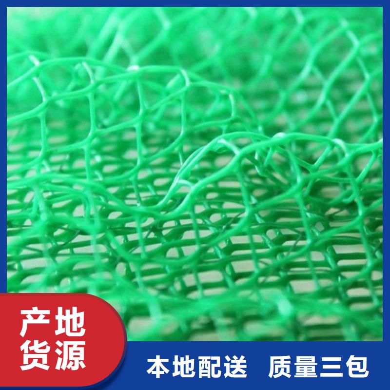 【三维植被网,HDPE土工膜让利客户】