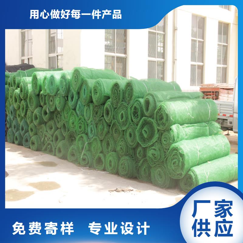 三维植被网植草格厂家售后完善