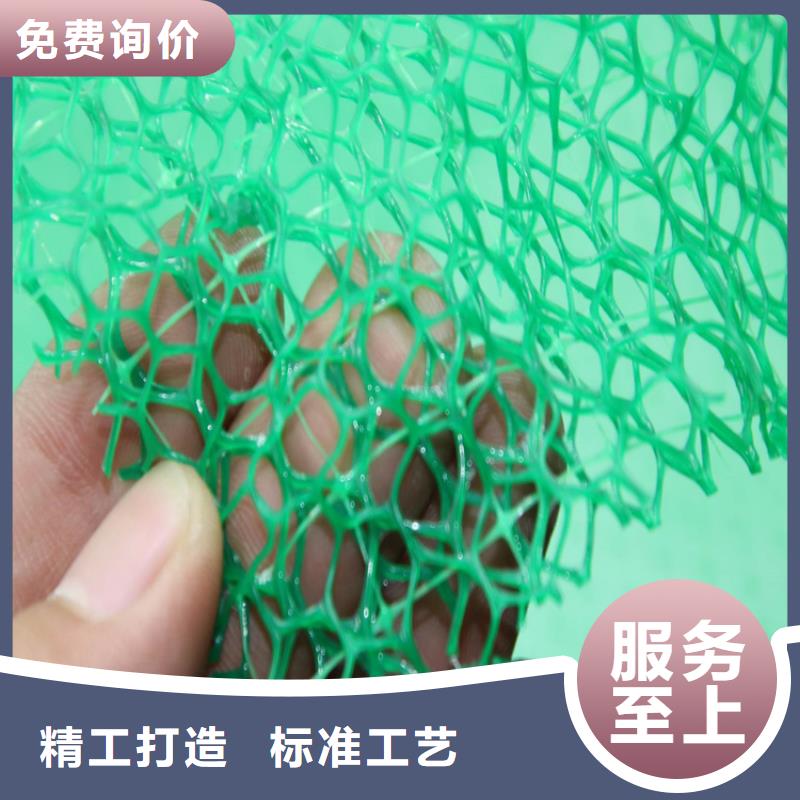 三维植被网植草格厂家售后完善