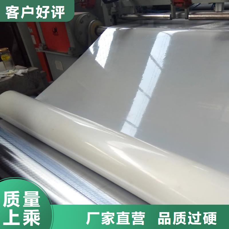 防水板_【【防水膜】】应用范围广泛
