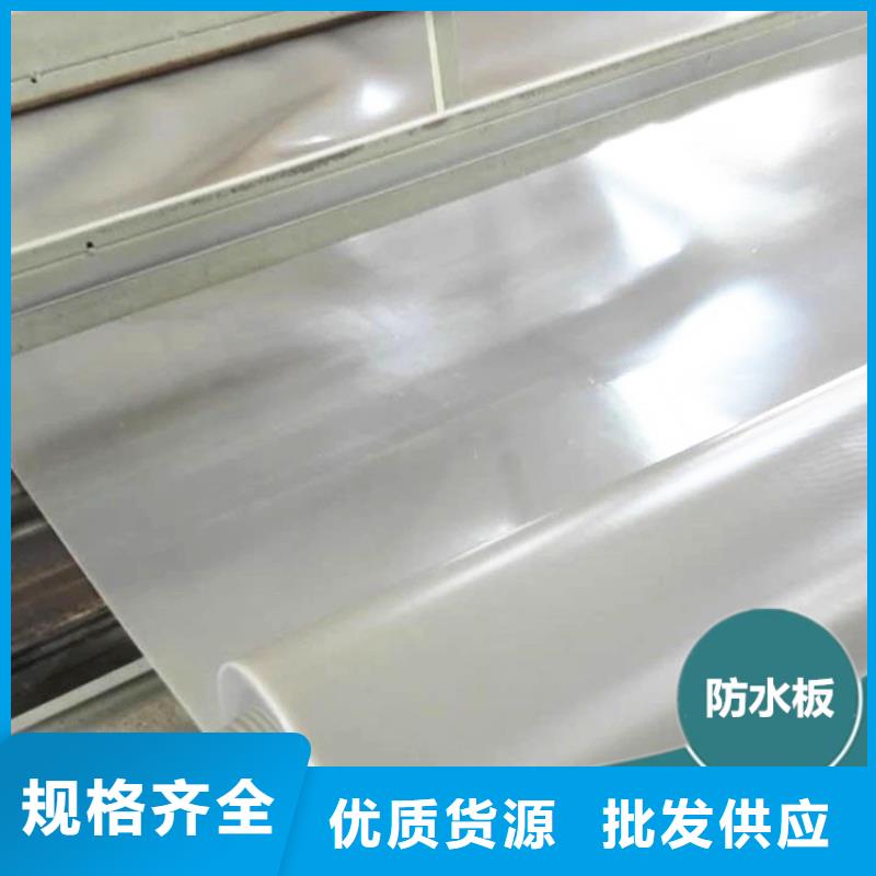【 防水板_复合土工膜高性价比】当地品牌