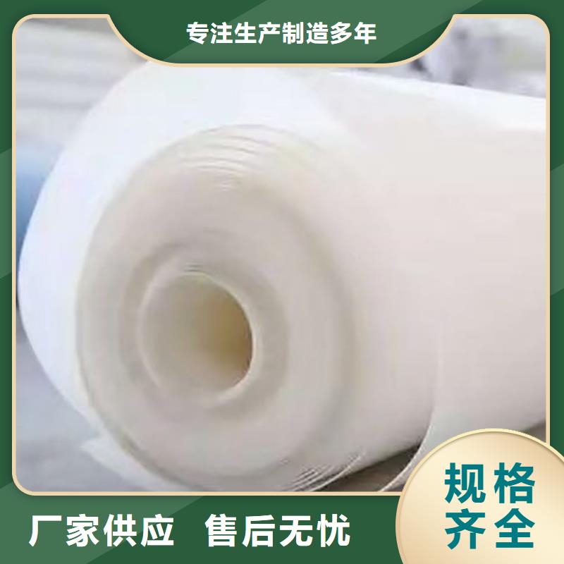 防水板【塑料盲沟】品质之选