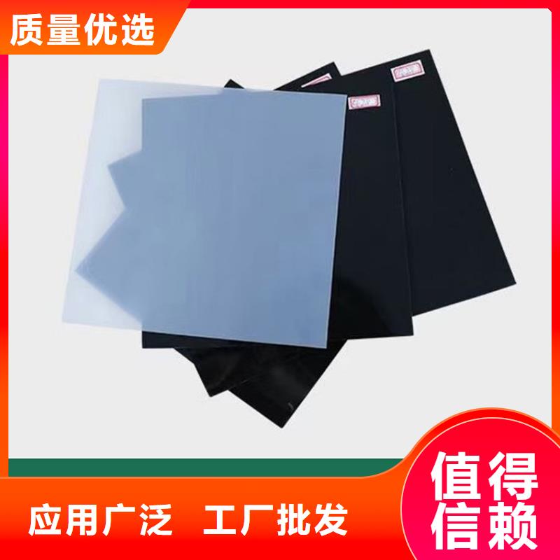 【 防水板_复合土工膜高性价比】当地品牌