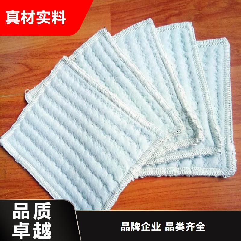 膨润土防水毯【植草格】专业品质