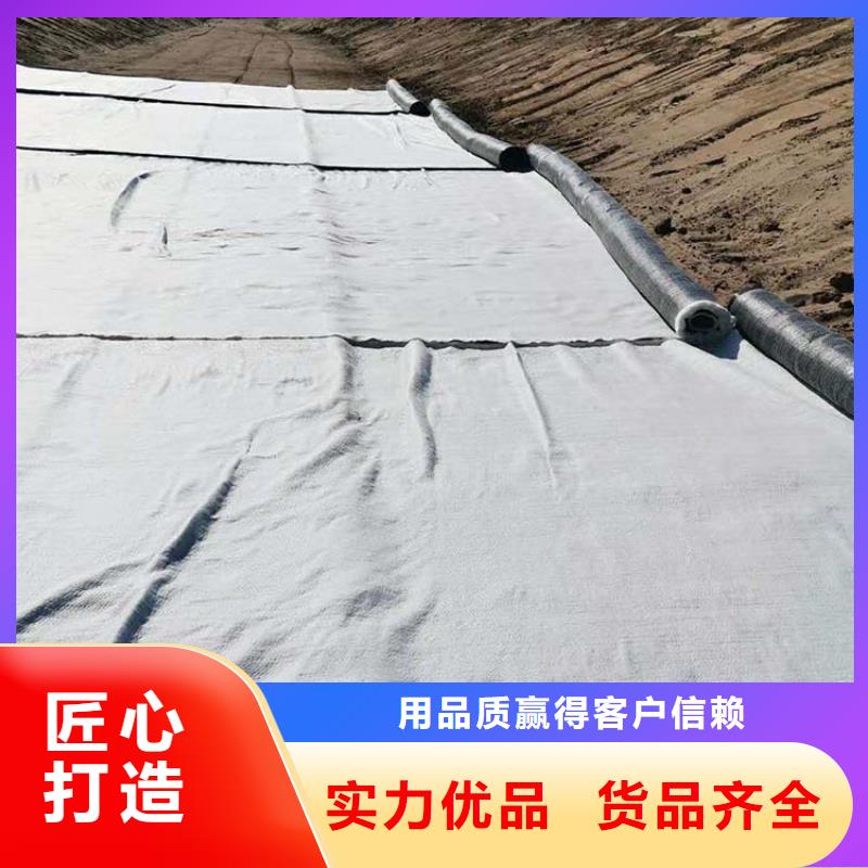 膨润土防水毯-土工席拒绝差价