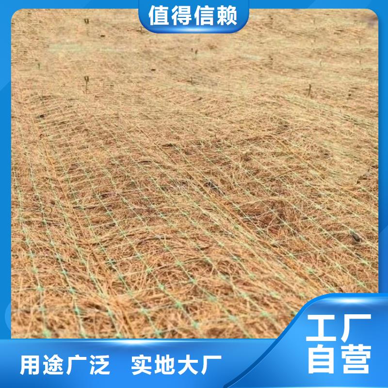 椰丝毯-【土工席】快捷的物流配送