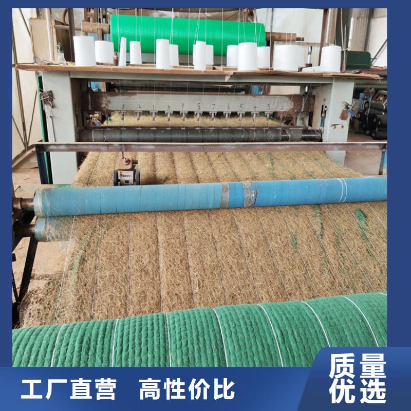 【 椰丝毯 土工格栅实体厂家】鼎诺植草格