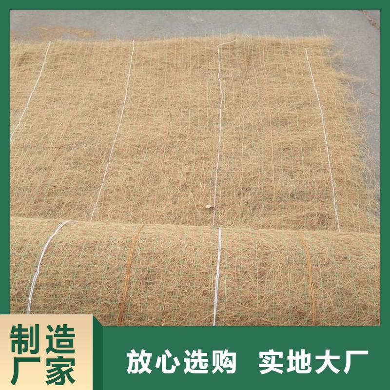 【 椰丝毯 土工格栅实体厂家】鼎诺植草格